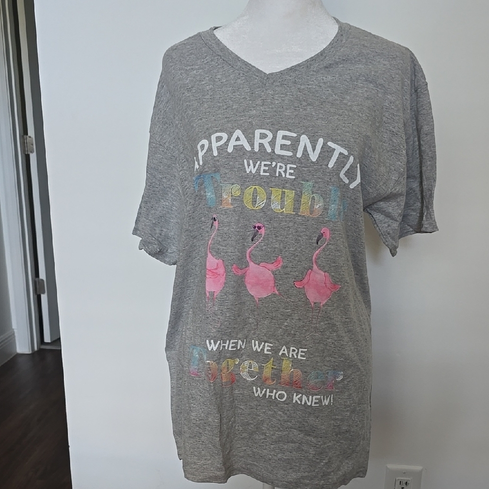 Fruit of the Loom Gray Tee with Pink Flamingos